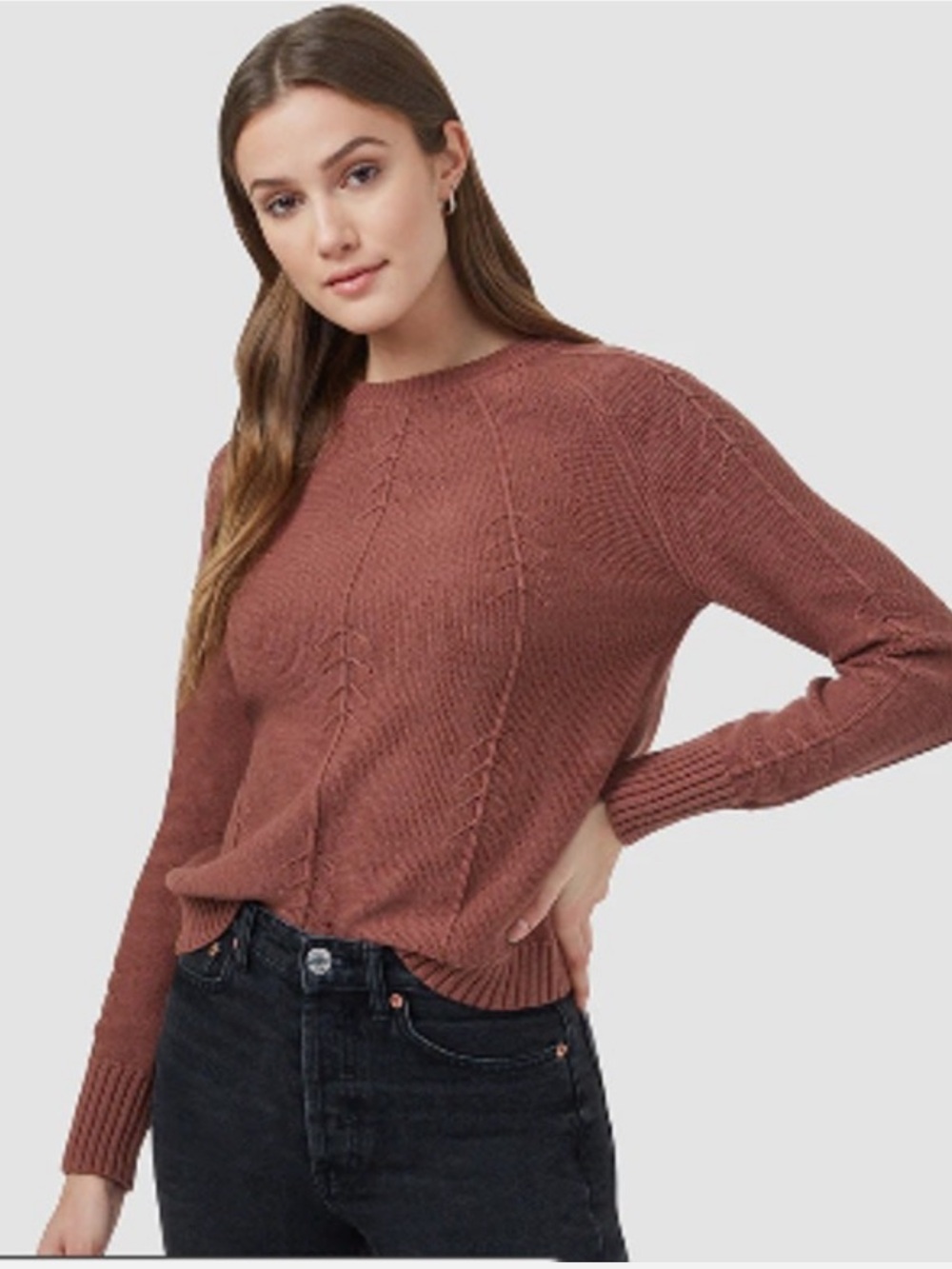 Tentree tree stitch cozy Sweater - Rust